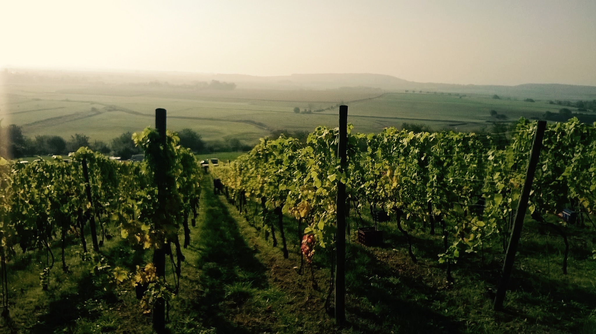 Agriculture Biologique et Biodynamique